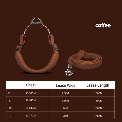 Pet Harness with leash