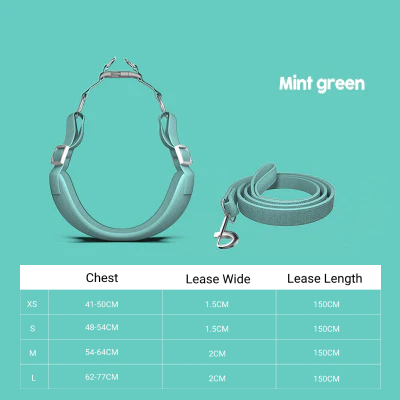 Pet Harness with leash