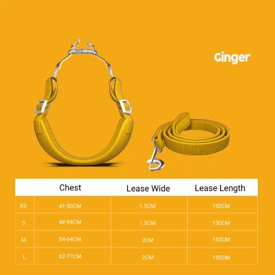 Pet Harness with leash