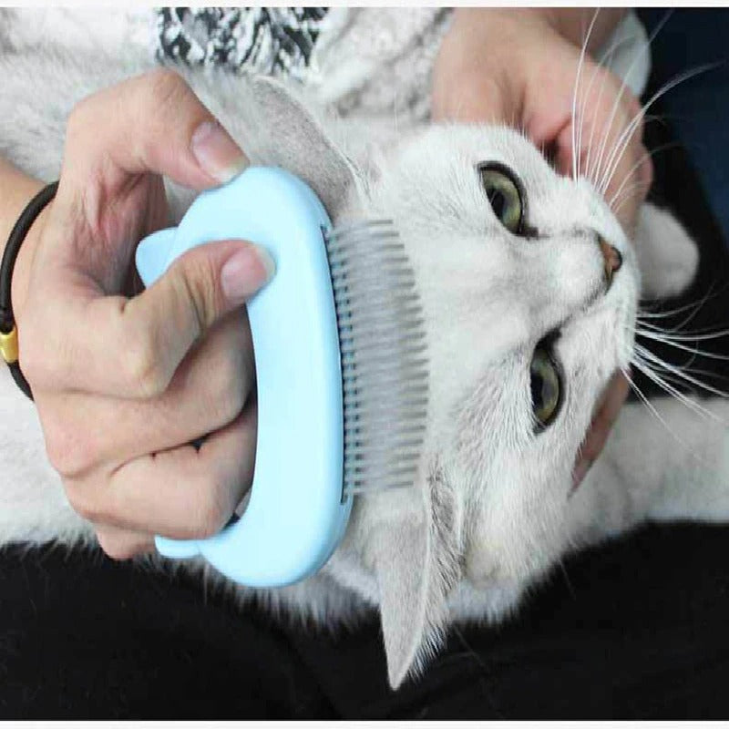 3 Colors Pet Cat Dog Massage Brush Shell Shaped Handle Pet Grooming Massage Tool To Remove Loose Hairs Dogs Cats Pet Supplies