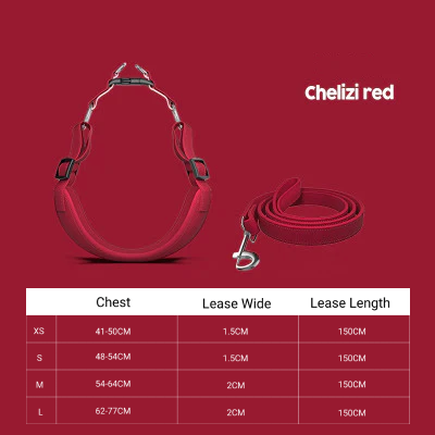 Pet Harness with leash