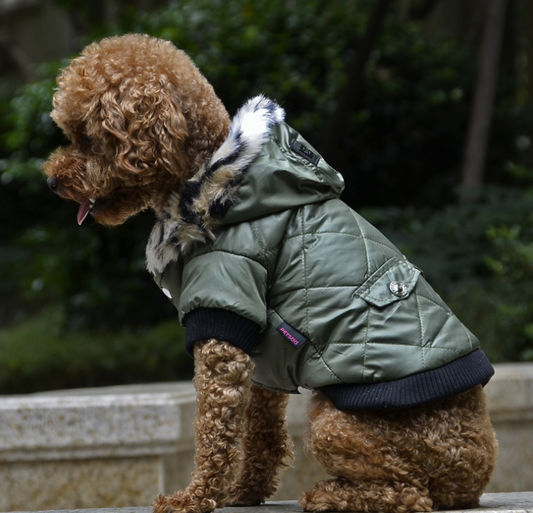 Cross-border pet supplies pet clothes dog clothes autumn and winter fur collar coat pet dog clothing